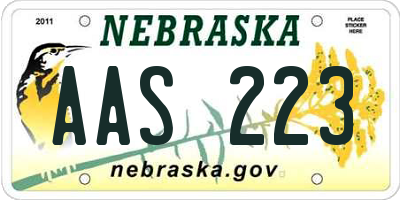 NE license plate AAS223
