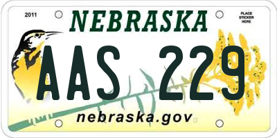 NE license plate AAS229