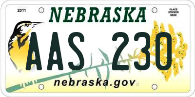 NE license plate AAS230