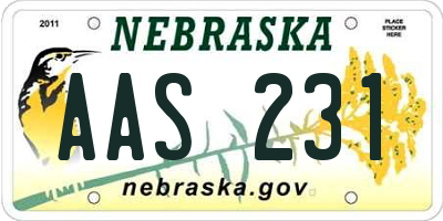 NE license plate AAS231