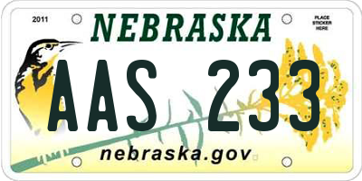 NE license plate AAS233
