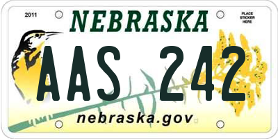 NE license plate AAS242