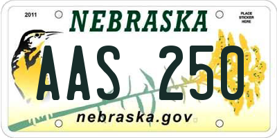 NE license plate AAS250