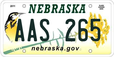 NE license plate AAS265