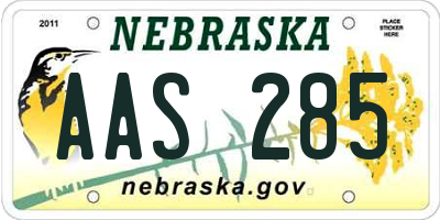 NE license plate AAS285