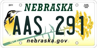 NE license plate AAS291