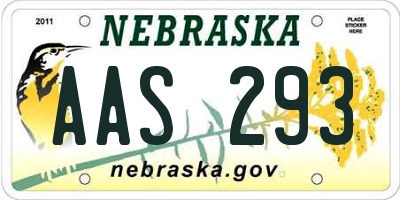 NE license plate AAS293