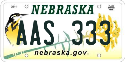 NE license plate AAS333