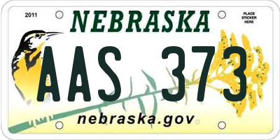 NE license plate AAS373