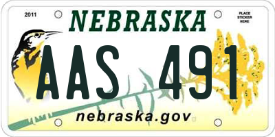 NE license plate AAS491