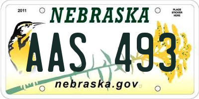 NE license plate AAS493