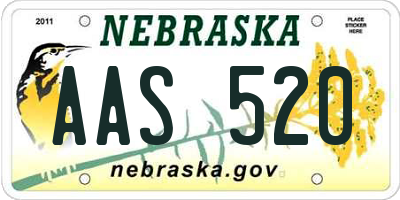 NE license plate AAS520