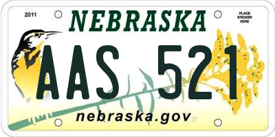 NE license plate AAS521