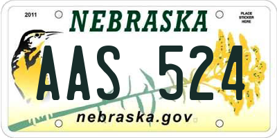 NE license plate AAS524