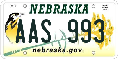 NE license plate AAS993