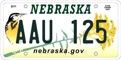 NE license plate AAU125
