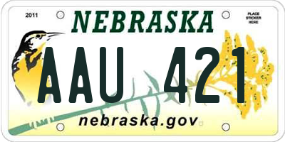 NE license plate AAU421