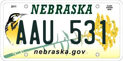 NE license plate AAU531