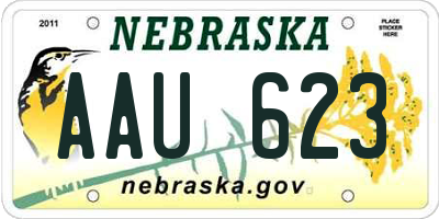 NE license plate AAU623