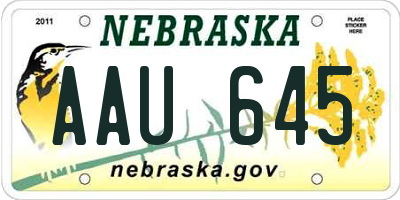 NE license plate AAU645