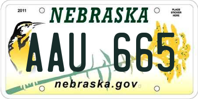 NE license plate AAU665