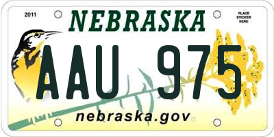 NE license plate AAU975