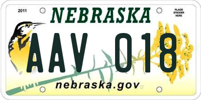 NE license plate AAV018