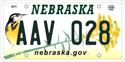 NE license plate AAV028
