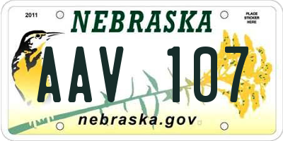 NE license plate AAV107