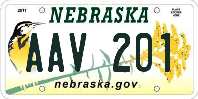 NE license plate AAV201
