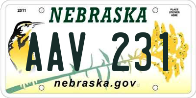 NE license plate AAV231