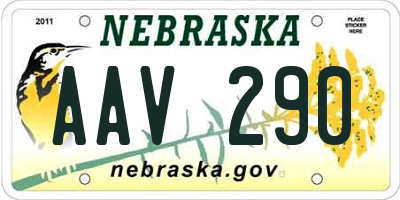 NE license plate AAV290