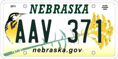 NE license plate AAV371