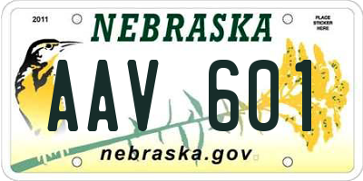 NE license plate AAV601