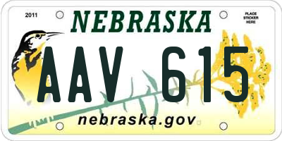 NE license plate AAV615