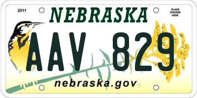 NE license plate AAV829