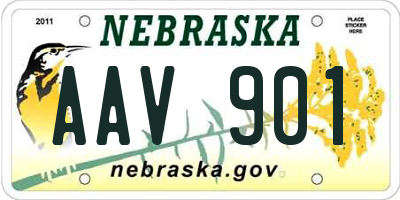 NE license plate AAV901