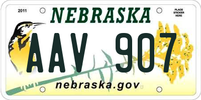 NE license plate AAV907