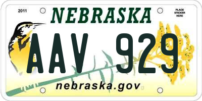 NE license plate AAV929
