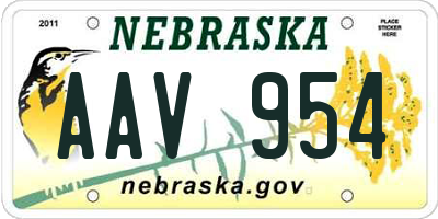 NE license plate AAV954