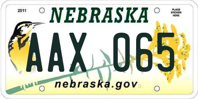 NE license plate AAX065