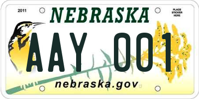 NE license plate AAY001