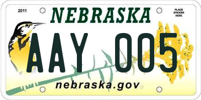 NE license plate AAY005