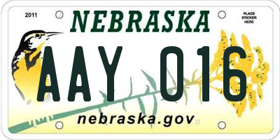 NE license plate AAY016