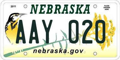 NE license plate AAY020
