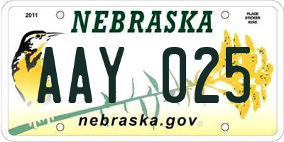 NE license plate AAY025