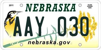 NE license plate AAY030
