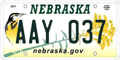 NE license plate AAY037