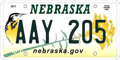 NE license plate AAY205