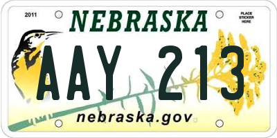 NE license plate AAY213